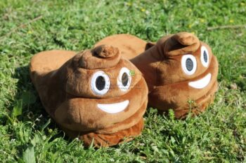 נעלי בית קקי