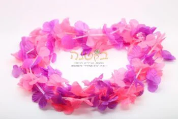 שרשראות הוואי